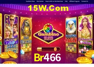Sistemas de Segurança Br466