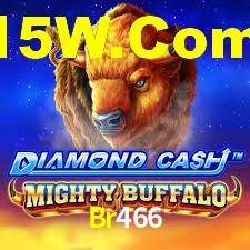 Programa VIP Br466